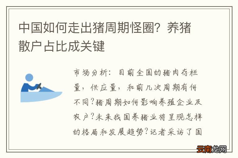 中国如何走出猪周期怪圈?养猪散户占比成关键