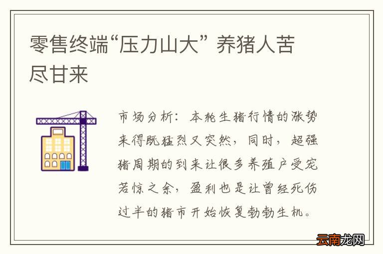 零售终端“压力山大” 养猪人苦尽甘来