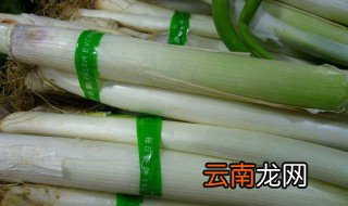 大葱重茬种植技术 快来看看吧