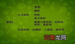 钼肥是什么肥料 钼肥的介绍