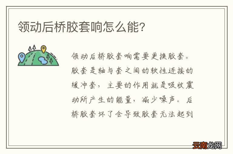 领动后桥胶套响怎么能?