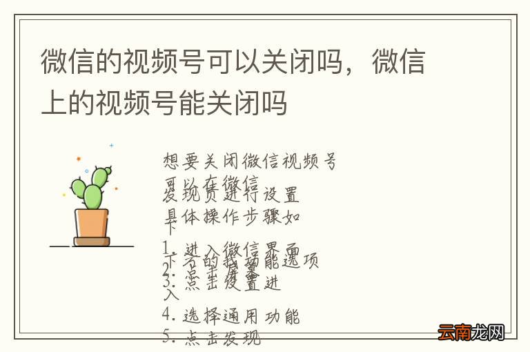 微信的视频号可以关闭吗,微信上的视频号能关闭吗