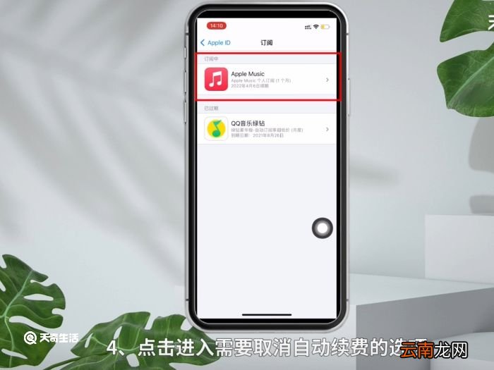 苹果连续包月自动扣费怎么取消 苹果连续包月自动扣费取消
