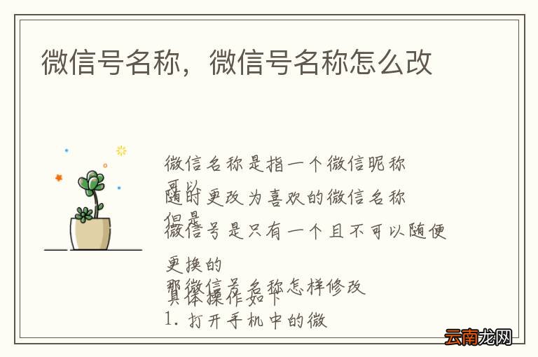 微信号名称，微信号名称怎么改