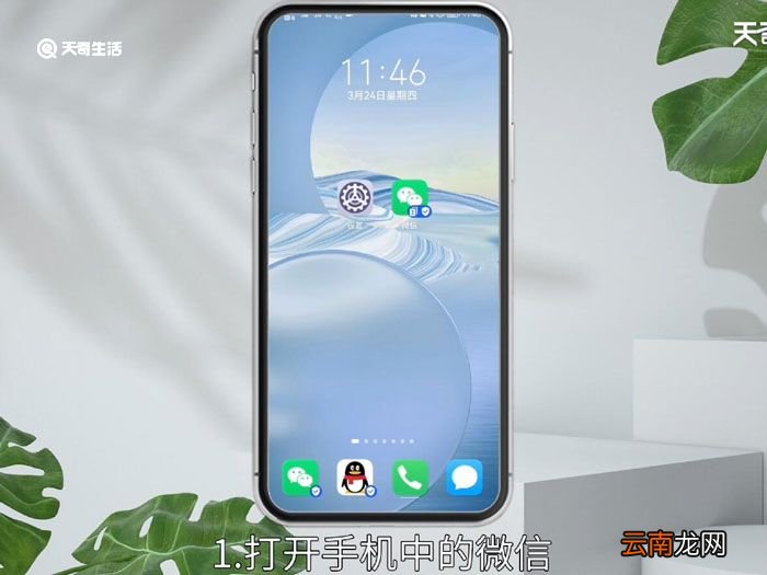 微信号名称，微信号名称怎么改