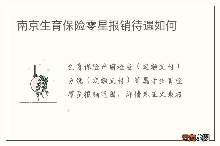 南京生育保险零星报销待遇如何