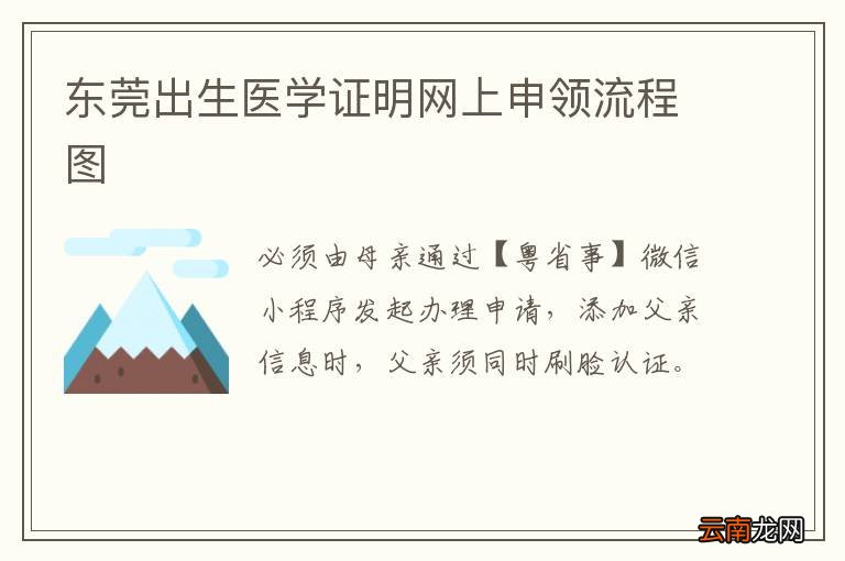 东莞出生医学证明网上申领流程图