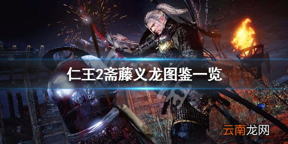 仁王2斋藤义龙图鉴一览 仁王2斋藤义龙背景介绍