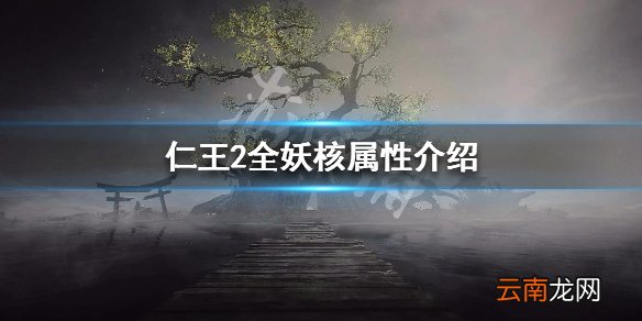 仁王2全妖核属性介绍 仁王2妖核种类有哪些_网