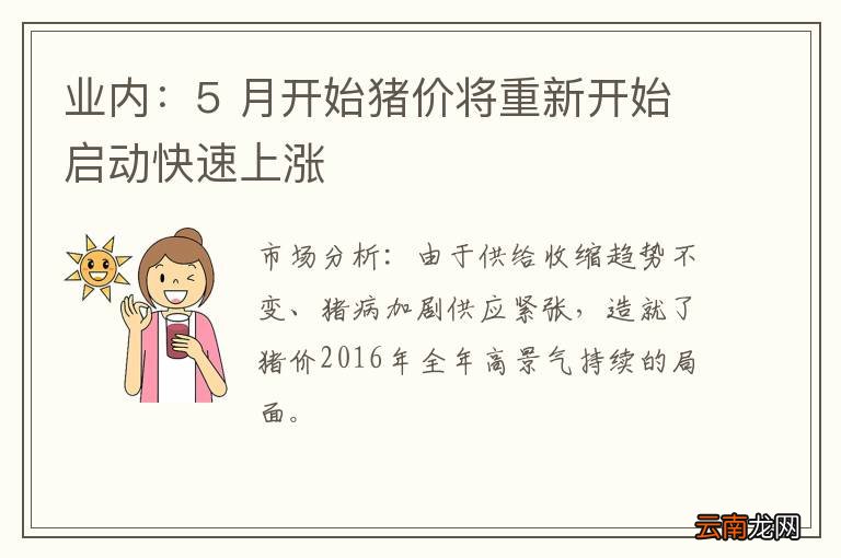 业内：5 月开始猪价将重新开始启动快速上涨