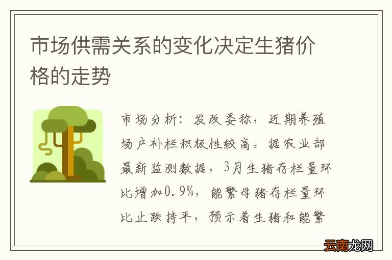 市场供需关系的变化决定生猪价格的走势