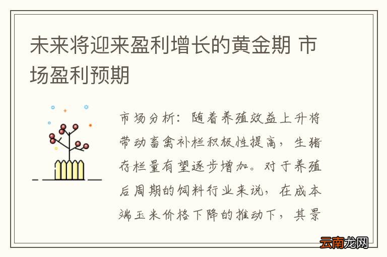 未来将迎来盈利增长的黄金期 市场盈利预期
