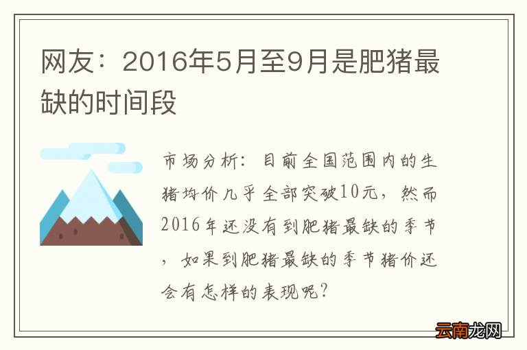 网友:2016年5月至9月是肥猪最缺的时间段