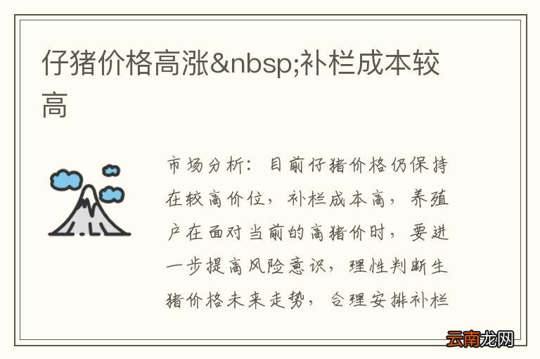 仔猪价格高涨 补栏成本较高