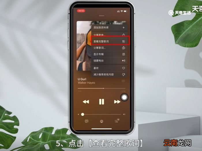 苹果手机怎么显示歌词 苹果手机显示歌词