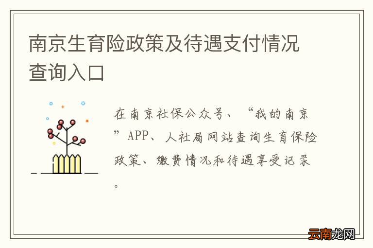 南京生育险政策及待遇支付情况查询入口