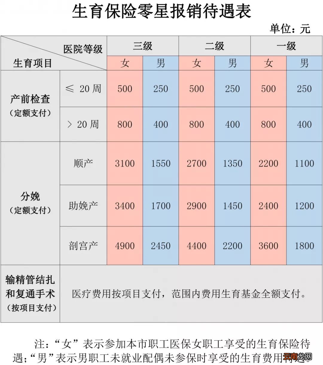 南京生育险政策及待遇支付情况查询入口