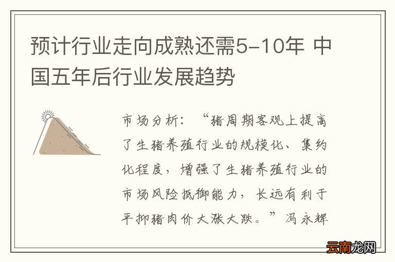 预计行业走向成熟还需5-10年 中国五年后行业发展趋势