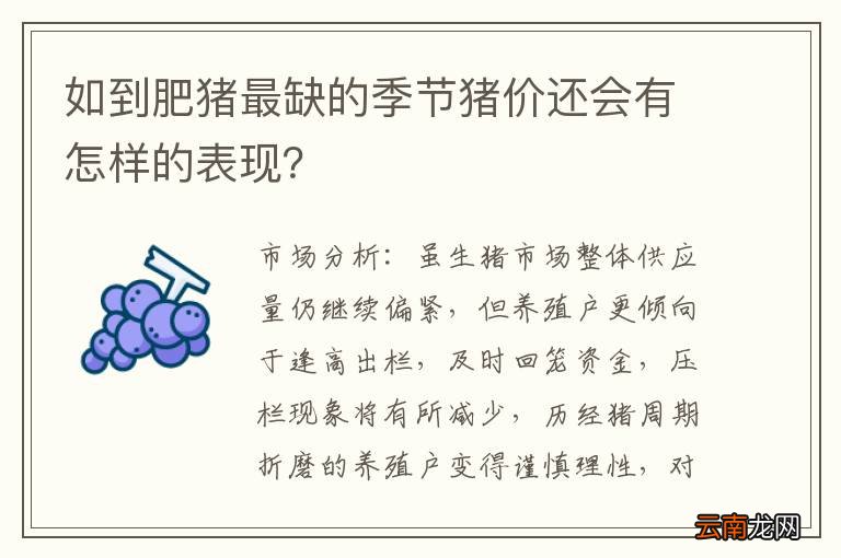 如到肥猪最缺的季节猪价还会有怎样的表现？