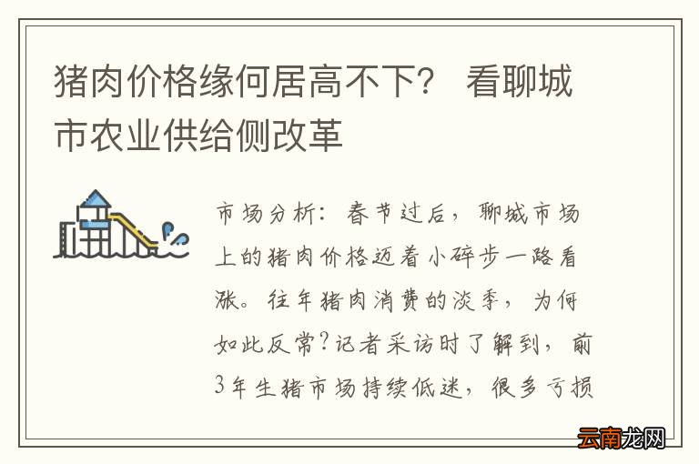 猪肉价格缘何居高不下？ 看聊城市农业供给侧改革