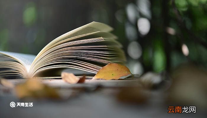 杨子取为我拔一毛而利天下不为也翻译 杨子取为我拔一毛而利天下不为也的翻译