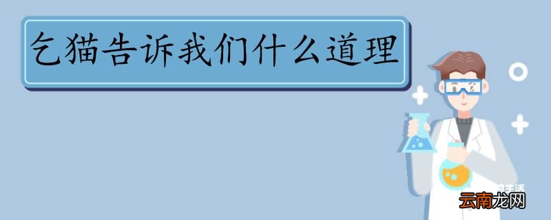 乞猫告诉我们什么道理 乞猫告诉我们的道理