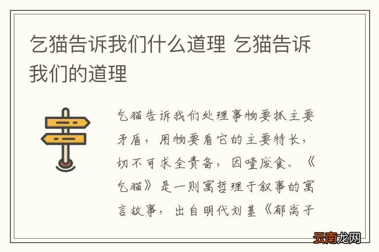 乞猫告诉我们什么道理 乞猫告诉我们的道理