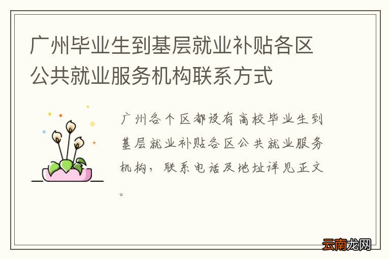 广州毕业生到基层就业补贴各区公共就业服务机构联系方式
