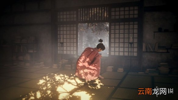 仁王2竹中半兵卫背景介绍 仁王2竹中半兵卫配音说明_网