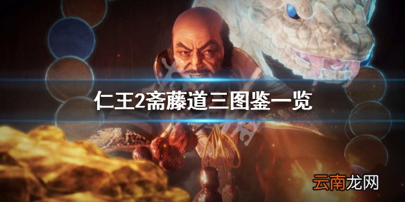 仁王2斋藤道三图鉴一览 仁王2斋藤道三配音是谁_网