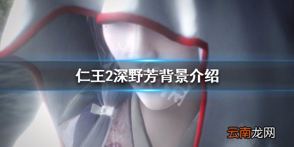 仁王2深野芳背景介绍 仁王2深野芳配音说明_网