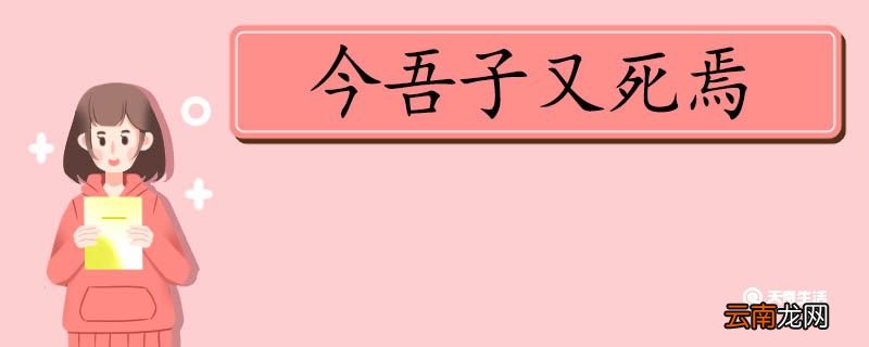 今吾子又死焉的翻译 今吾子又死焉翻译