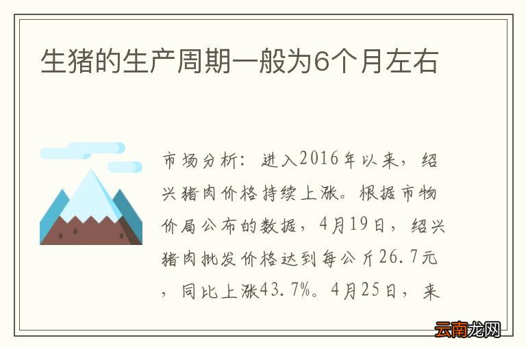 生猪的生产周期一般为6个月左右