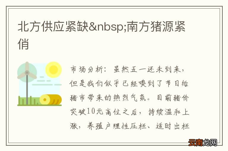 北方供应紧缺 南方猪源紧俏