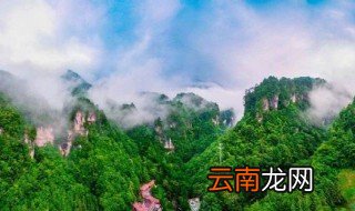 神农架深处为何进不去 主要存在几种危险