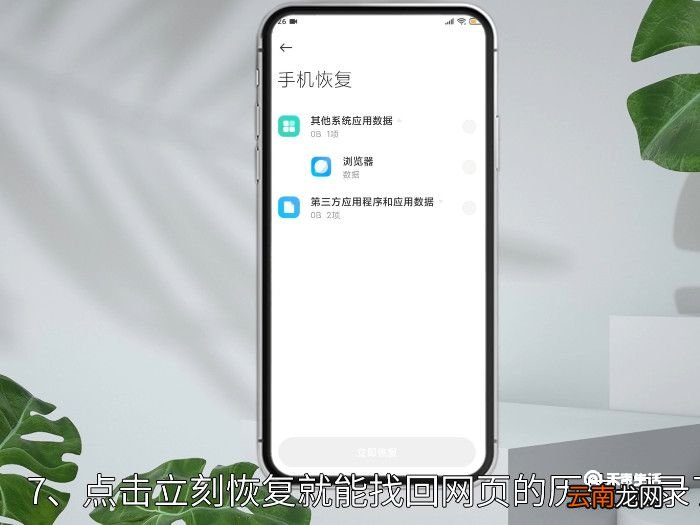 手机浏览器网页历史记录怎么恢复，手机浏览器历史浏览记录怎么恢复