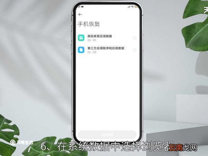 手机浏览器网页历史记录怎么恢复，手机浏览器历史浏览记录怎么恢复