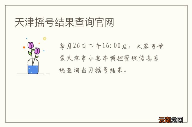 天津摇号结果查询官网