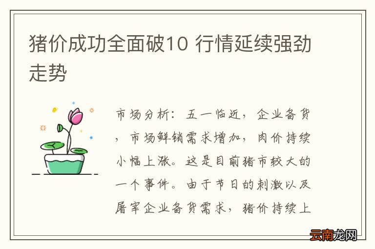 猪价成功全面破10 行情延续强劲走势