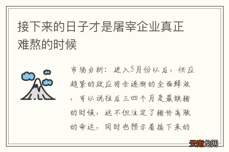 接下来的日子才是屠宰企业真正难熬的时候