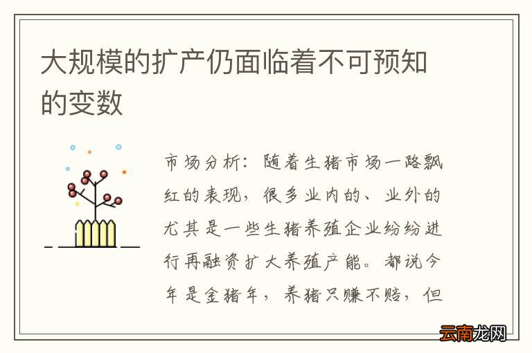 大规模的扩产仍面临着不可预知的变数