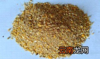 玉米怎样喂鸡效果最好 使用玉米的方式