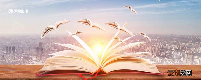 昙花一现造句 昙花一现的意思