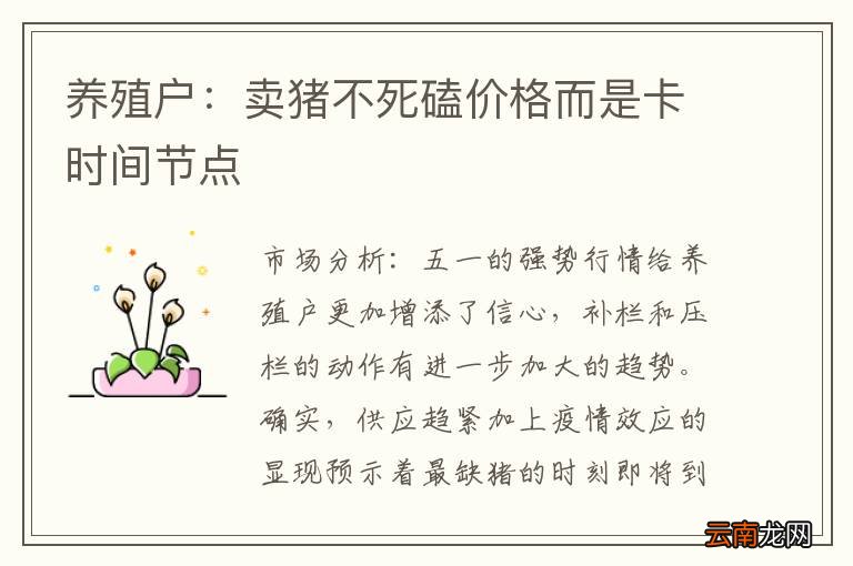养殖户：卖猪不死磕价格而是卡时间节点