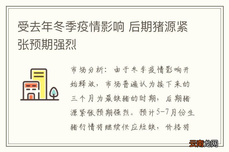 受去年冬季疫情影响 后期猪源紧张预期强烈