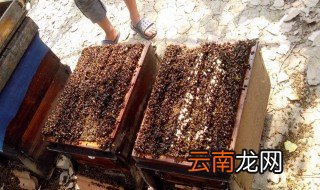 国宝蜂箱尺寸 由什么构成