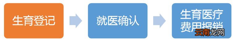 东莞申领生育保险流程一览