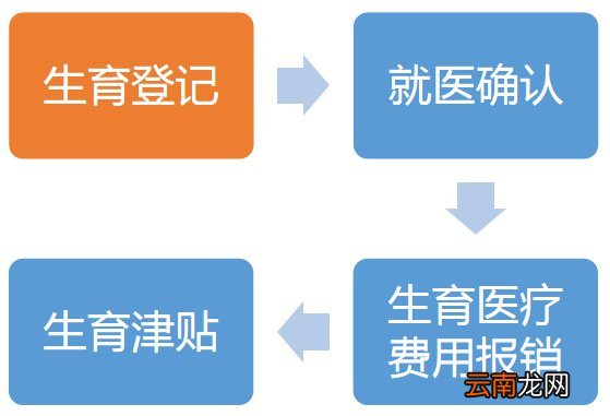 东莞申领生育保险流程一览