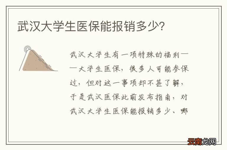 武汉大学生医保能报销多少？