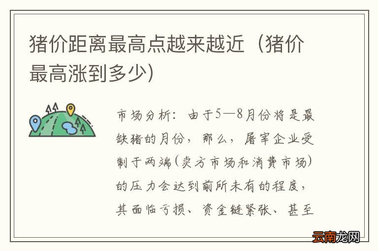 猪价最高涨到多少 猪价距离最高点越来越近